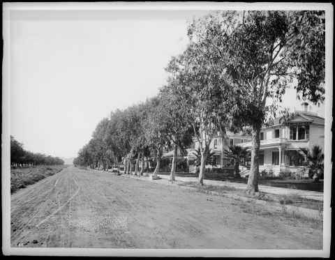 Ocean Avenue in Santa Monica, showing residences, ca.1900 (CHS-286)