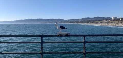 Santa Monica Pier 5