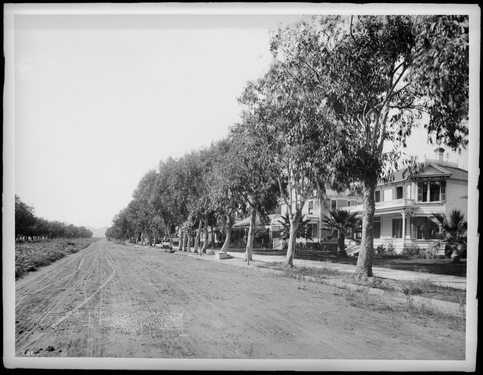 Ocean Avenue in Santa Monica, showing residences, ca.1900 (CHS-286)