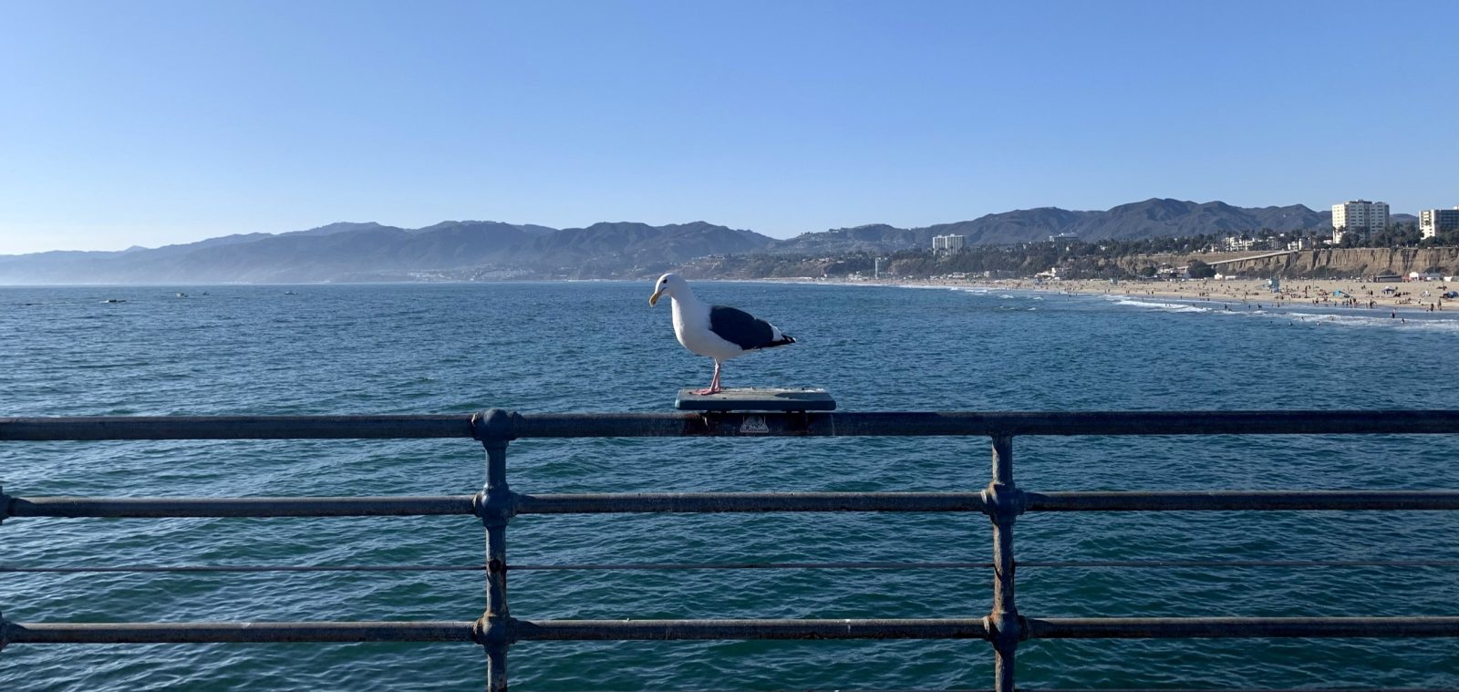 Santa Monica Pier 5